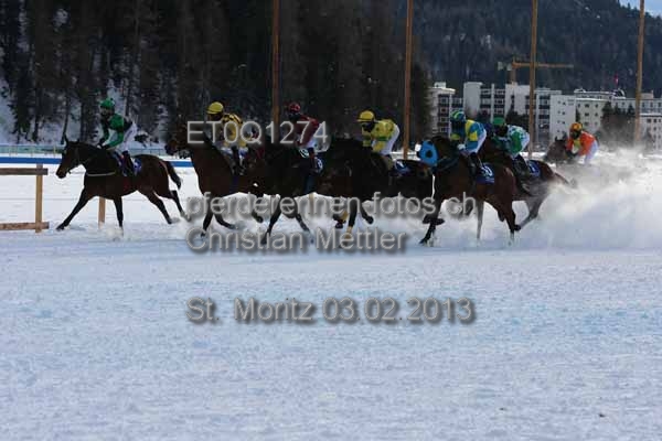 ET0Q1274 prot